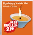 Citronellakerze in Terrakotta-Schale für 2,99 € bei V-Markt im Angebot Citronellakerze in Terrakotta-Schale im aktuellen V-Markt Prospekt