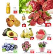 Aktueller Marktkauf Prospekt mit Obst, "Aktuelle Angebote", Seite 9