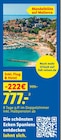Aktuelle Reis Angebote bei Lidl in Duisburg Aktuelles Mandelblüte auf Mallorca Angebot bei Lidl in Duisburg ab 777,00 €