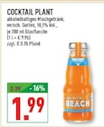 Sex on the Beach im Angebot bei Marktkauf in Bottrop Sex on the Beach Angebote von Cocktail Plant bei Marktkauf Bottrop für 1,99 €