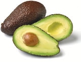 Avocado vorgereift für 0,99 € bei Netto mit dem Scottie im Angebot Avocado vorgereift im aktuellen Netto mit dem Scottie Prospekt