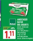 Bio-Jogurts Angebote von Andechser Natur bei Marktkauf Hagen für 1,11 €