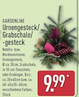 Urnengesteck/Grabschale/-gesteck von Gardenline für 9,99 € bei ALDI Nord im Angebot Urnengesteck/Grabschale/-gesteck von Gardenline im aktuellen ALDI Nord Prospekt