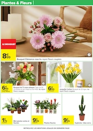 Offre Fleurs dans le catalogue Carrefour du moment à la page 31