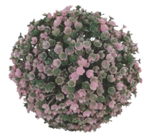 La boule de floraison rose en promo chez Bazarland Perpignan à 2,99 €
