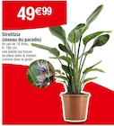 Strelitzia (oiseau du paradis) en promo chez Carrefour Strelitzia (oiseau du paradis) dans le catalogue Carrefour