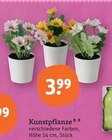 Dekoration im tegut Prospekt Kunstpflanze im aktuellen tegut Prospekt für 3,99 €