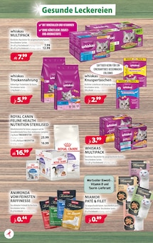 Katzenfutter im aktuellen Kiebitzmarkt Prospekt (Cottbus) Katzenfutter im Kiebitzmarkt Prospekt "Leckeres zum Fest!" mit 8 Seiten (Cottbus)