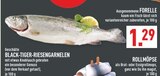 Aktuelles Forelle Angebot bei Marktkauf in Bochum ab 1,29 €