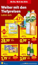 Wasser im Lidl Prospekt in Potsdam Aktueller Lidl Prospekt mit Wasser, "LIDL LOHNT SICH", Seite 62