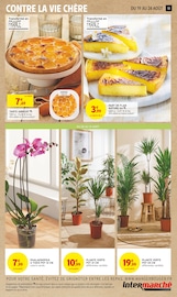Orchidée Angebote im Prospekt "LA FIN DES VACANCES C'EST NUL ALORS ON VOUS LA REMBOURSE" von Intermarché auf Seite 13
