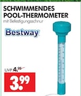 Schwimmendes Pool-Thermometer Angebote von Bestway bei Wreesmann Dessau-Roßlau für 3,99 €