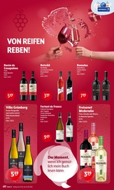 Aktueller Trink und Spare Prospekt mit Rotwein, "Aktuelle Angebote", Seite 4