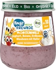 Aktuelles Morgenbrei Joghurt, Banane, Erdbeere, Blaubeere mit Hafer ab 10 Monaten Angebot bei dm-drogerie markt in Bottrop ab 0,95 €