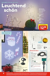 Aktueller Hellweg Prospekt mit Weihnachtsdekoration, "Die Profi-Baumärkte", Seite 4