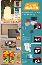 Aktueller REWE Prospekt mit Wasserfilter, "Dein Markt", Seite 33
