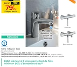 Promo Série mitigeurs Ecos à 79,90 € dans le catalogue Castorama à Kingersheim