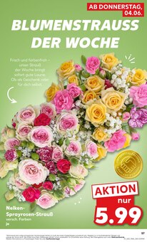 Blumen im aktuellen Kaufland Prospekt (Jena) Blumen im Kaufland Prospekt "Hier bin ich richtig" mit 69 Seiten (Jena)