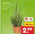 Netto Marken-Discount Vollerwiek Prospekt mit  im Angebot für 2,99 €