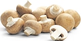 Braune Champignons von REWE Regional im aktuellen REWE Prospekt für 1,49 €