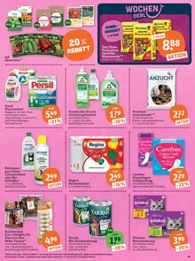 Waschmittel im tegut Prospekt "tegut… gute Lebensmittel" mit 23 Seiten (Augsburg)