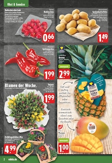 Paprika im aktuellen E center Prospekt (Moers) Paprika im E center Prospekt "Aktuelle Angebote" mit 30 Seiten (Moers)