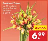 Großbund Tulpen im Angebot bei Netto Marken-Discount in Amberg Großbund Tulpen Angebote bei Netto Marken-Discount Amberg für 6,99 €