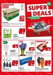 Aktueller Hagebaumarkt Prospekt mit Haushaltsartikel, "SUPER DEALS", Seite 2