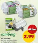 Zur Anzucht Angebote von Romberg bei Penny Rodgau für 2,99 €