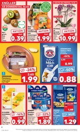 Blumentopf Angebot im aktuellen Kaufland Prospekt auf Seite 2