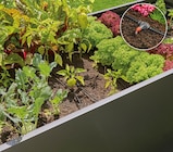 Tropfbewässerungs-Set „Hochbeet“ von Gardena im aktuellen Hornbach Prospekt