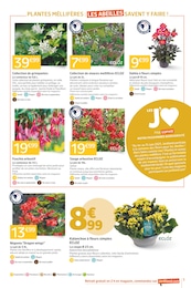 Prix et réduction Fleurs dans le prospectus Jardiland en cours Offre Fleurs dans le catalogue Jardiland du moment à la page 3