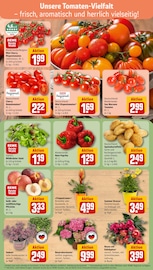 Ähnliche Eibe Angebote im Prospekt "Dein Markt" von REWE in Freiburg Ähnliche Angebote wie Eibe im Prospekt "Dein Markt" auf Seite 7 von REWE in Freiburg