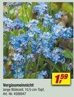 toom Baumarkt Duderstadt Angebote im Prospekt und Katalog