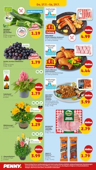 Zucchini im Penny Prospekt "Wer günstig will, muss Penny." mit 36 Seiten (Hamburg)