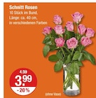 V-Markt Bobingen - Schnitt Rosen Angebot im Prospekt Schnitt Rosen bei V-Markt im Bobingen Prospekt für 3,99 €