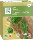 Bio Kräuter von Naturgut im aktuellen Penny Prospekt für 0,89 €