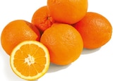 Orangen bei Netto mit dem Scottie im Chemnitz Prospekt für 2,49 €