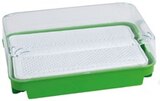 Kresseanzucht-Set von romberg im aktuellen Penny Prospekt für 1,99 €