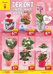 Aktueller Netto Marken-Discount Prospekt mit Blumen, "Aktuelle Angebote", Seite 30