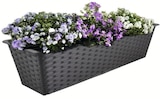 Polyrattan-Blumenkasten im Angebot bei Wreesmann in Cottbus Polyrattan-Blumenkasten Angebote bei Wreesmann Cottbus für 7,99 €