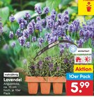 Aktuelle Lavendel Angebote bei Netto Marken-Discount in Duisburg Aktuelles Lavendel Angebot bei Netto Marken-Discount in Duisburg ab 5,99 €