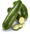 Netto Marken-Discount - Zucchini Angebot im Prospekt Zucchini bei Netto Marken-Discount im Prospekt "" für 0,99 €