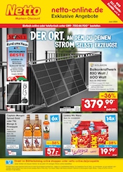 Aktueller Netto Marken-Discount Discounter Prospekt in Solpke und Umgebung, "netto-online.de - Exklusive Angebote" mit 40 Seiten, 01.06.2024 - 30.06.2024