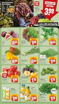 Äpfel im REWE Prospekt "Dein Markt" mit 16 Seiten (Wiesbaden)