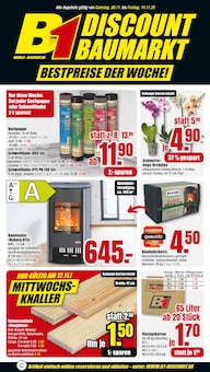 Orchidee im aktuellen B1 Discount Baumarkt Prospekt (Duisburg) Orchidee im B1 Discount Baumarkt Prospekt "BESTPREISE DER WOCHE!" mit 8 Seiten (Duisburg)
