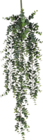 Kunstpflanze Eukalyptus Angebote bei BAUHAUS Iserlohn für 12,95 €