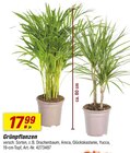 Angebot im toom Baumarkt Groß Gerau Prospekt toom Baumarkt Groß Gerau Prospekt mit im Angebot für 17,99 €