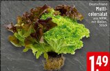 E center Hückelhoven - Multicolorsalat Angebot im Prospekt Multicolorsalat bei E center im Hückelhoven Prospekt für 1,49 €