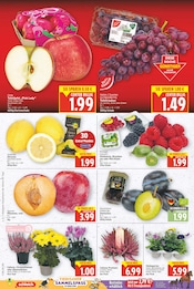 Aktueller E center Prospekt mit Äpfel, "Aktuelle Angebote", Seite 4